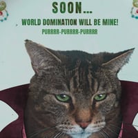Image 3 of World domination cats! (Ref. 681)