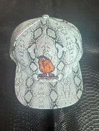 Image 1 of Teal Byrdgang Strapback