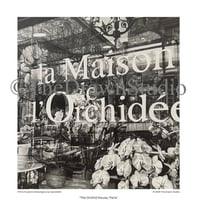 'The Orchid House, Paris' Art Poster Print