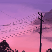 Image 4 of summer night print ₊ ༘⋆