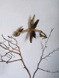 Image 3 of Driftwood Dragon ( Chinese New Year , dragon , year of the dragon )