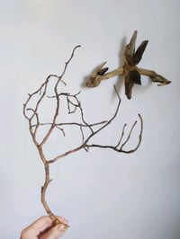 Image 2 of Driftwood Dragon ( Chinese New Year , dragon , year of the dragon )