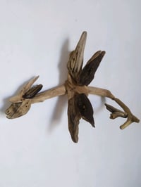 Image 4 of Driftwood Dragon ( Chinese New Year , dragon , year of the dragon )