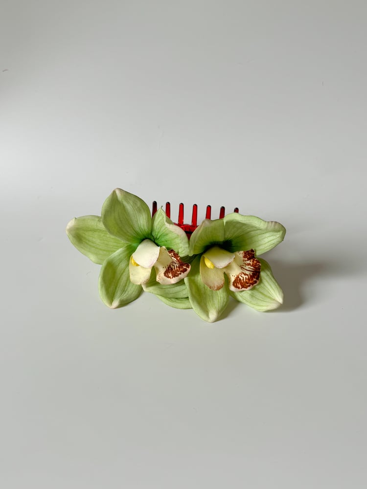 Image of double green cymbidium orchid claw