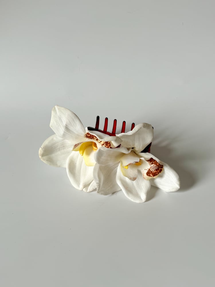 Image of double white cymbidium orchid claw clip