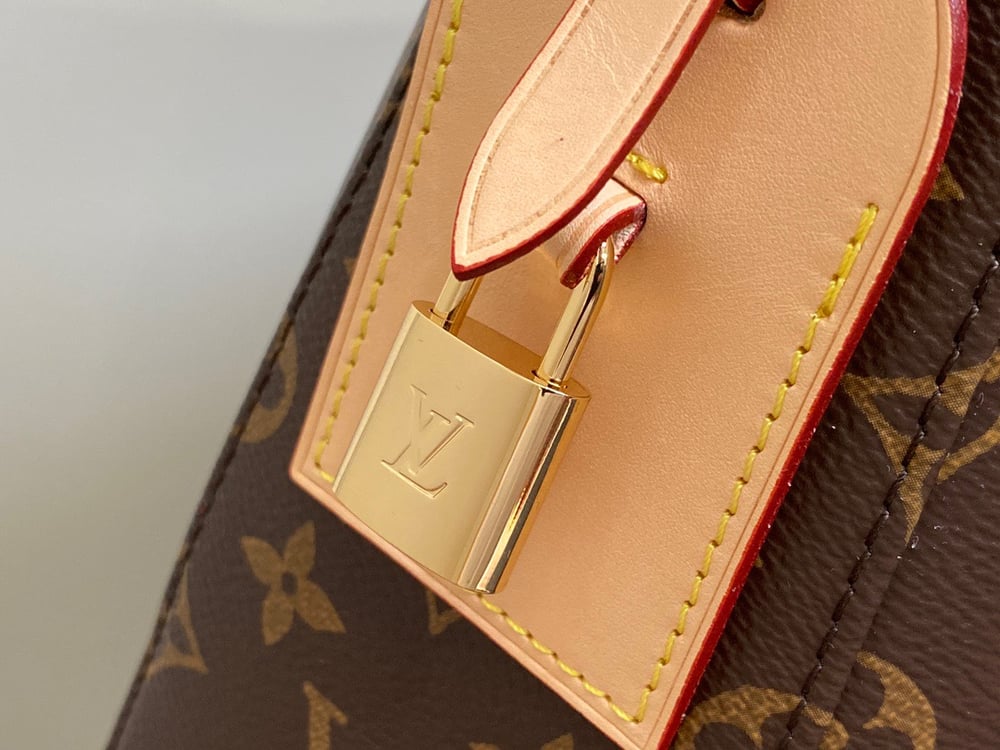 LV Slouchy Bag