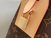 Image 6 of LV Slouchy Bag