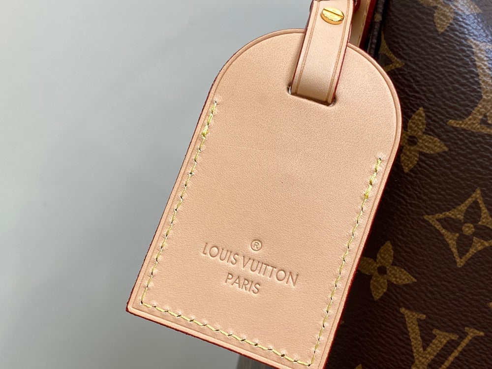 LV Slouchy Bag