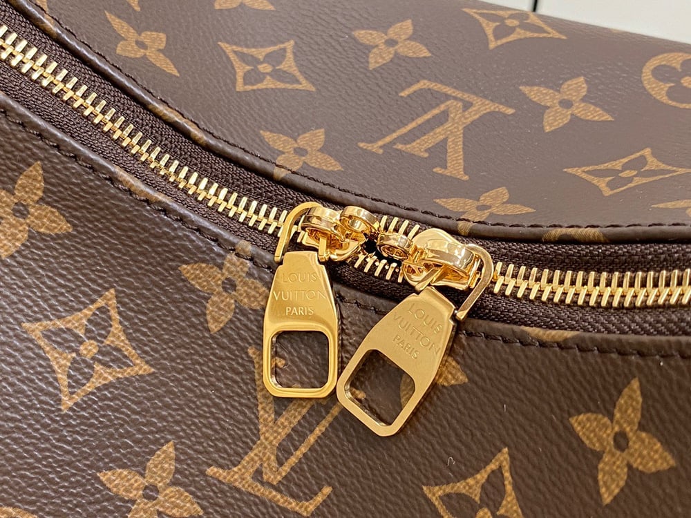 LV Slouchy Bag