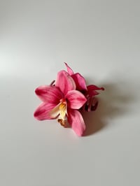 Image 1 of single pink cymbidium orchid claw clip.