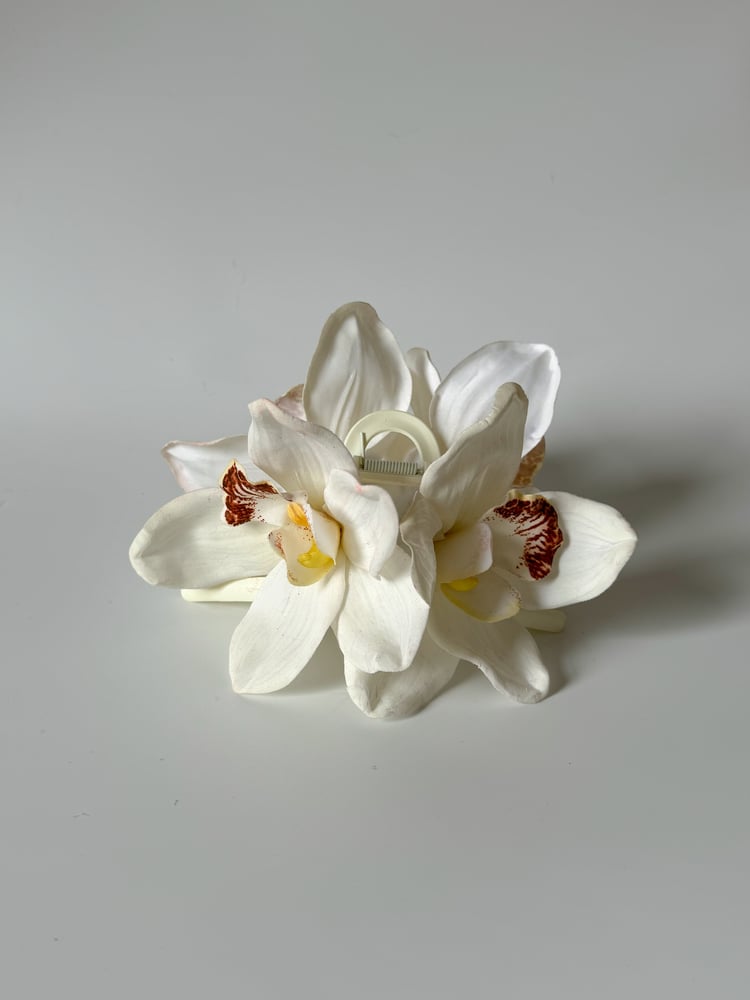 Image of xl white cymbidium orchid claw