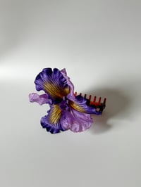 Image 1 of violet iris claw