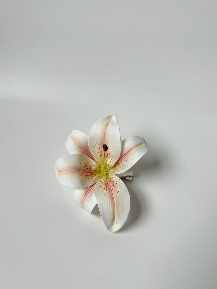 Image of madonna lily clip