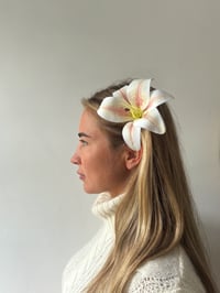 Image 2 of madonna lily clip