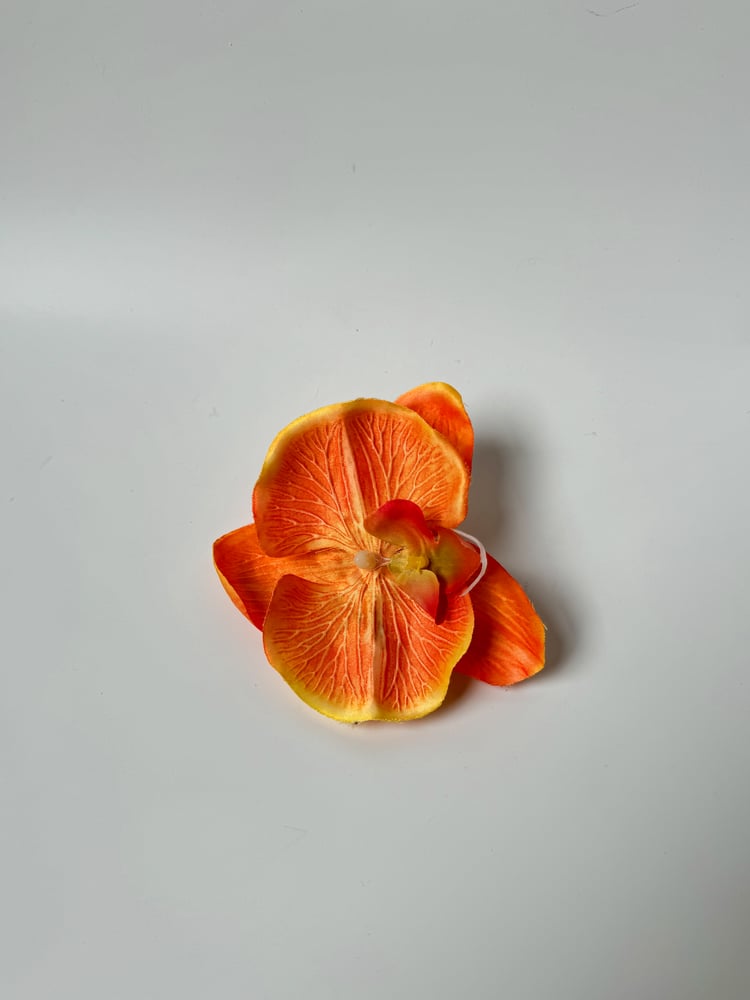 Image of orange orchid clip