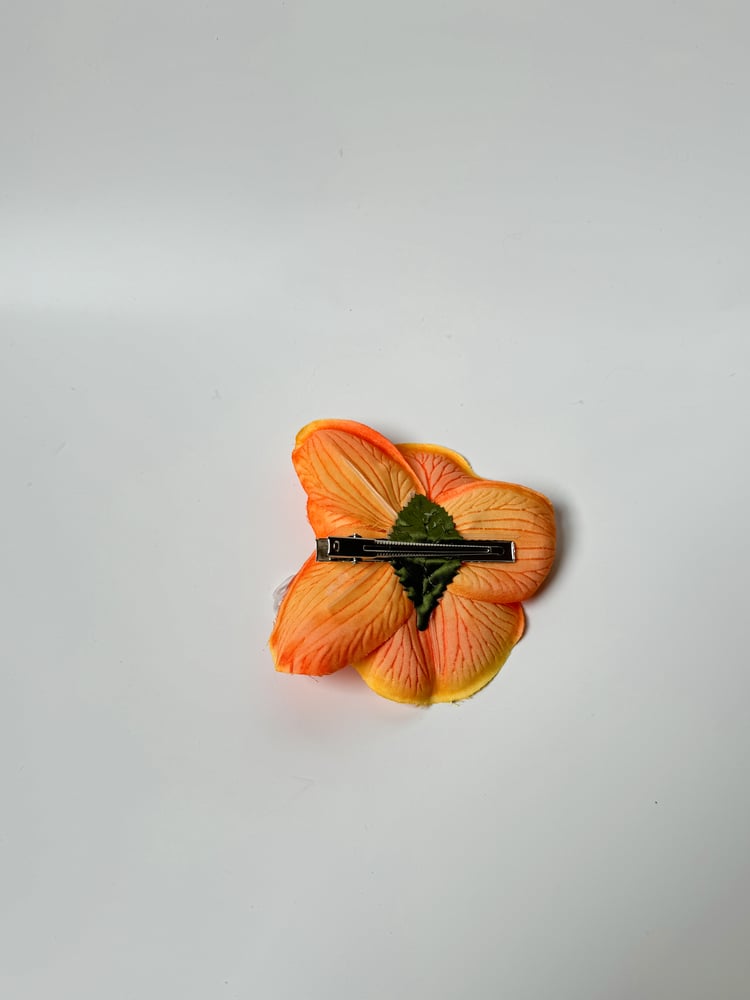 Image of orange orchid clip