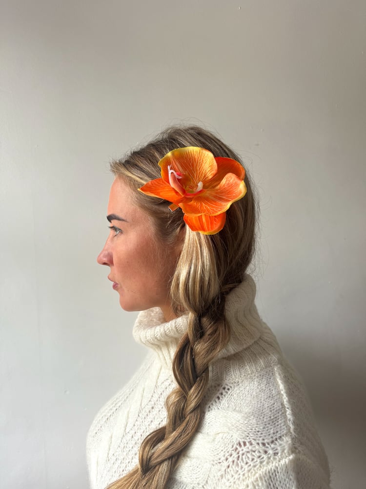 Image of orange orchid clip