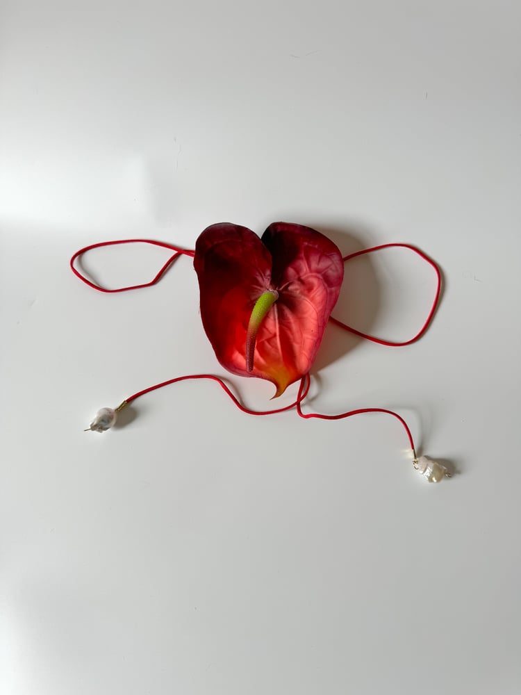 Image of anthurium choker 