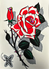 MIKE WOODS: Untitled rose