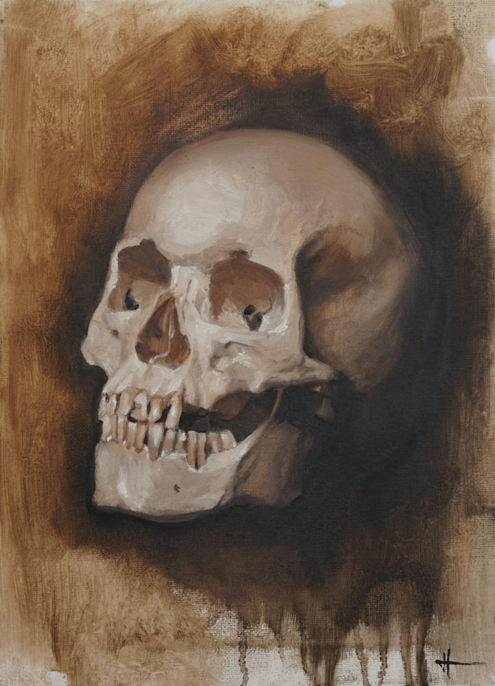 Image of 'Skull Study' Original 