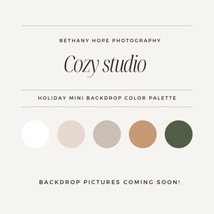 Image of Cozy Holiday studio minis 2024