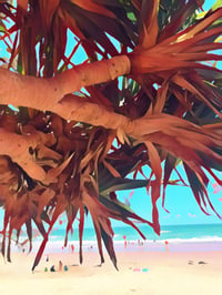 Image 1 of Bonnie hills main beach