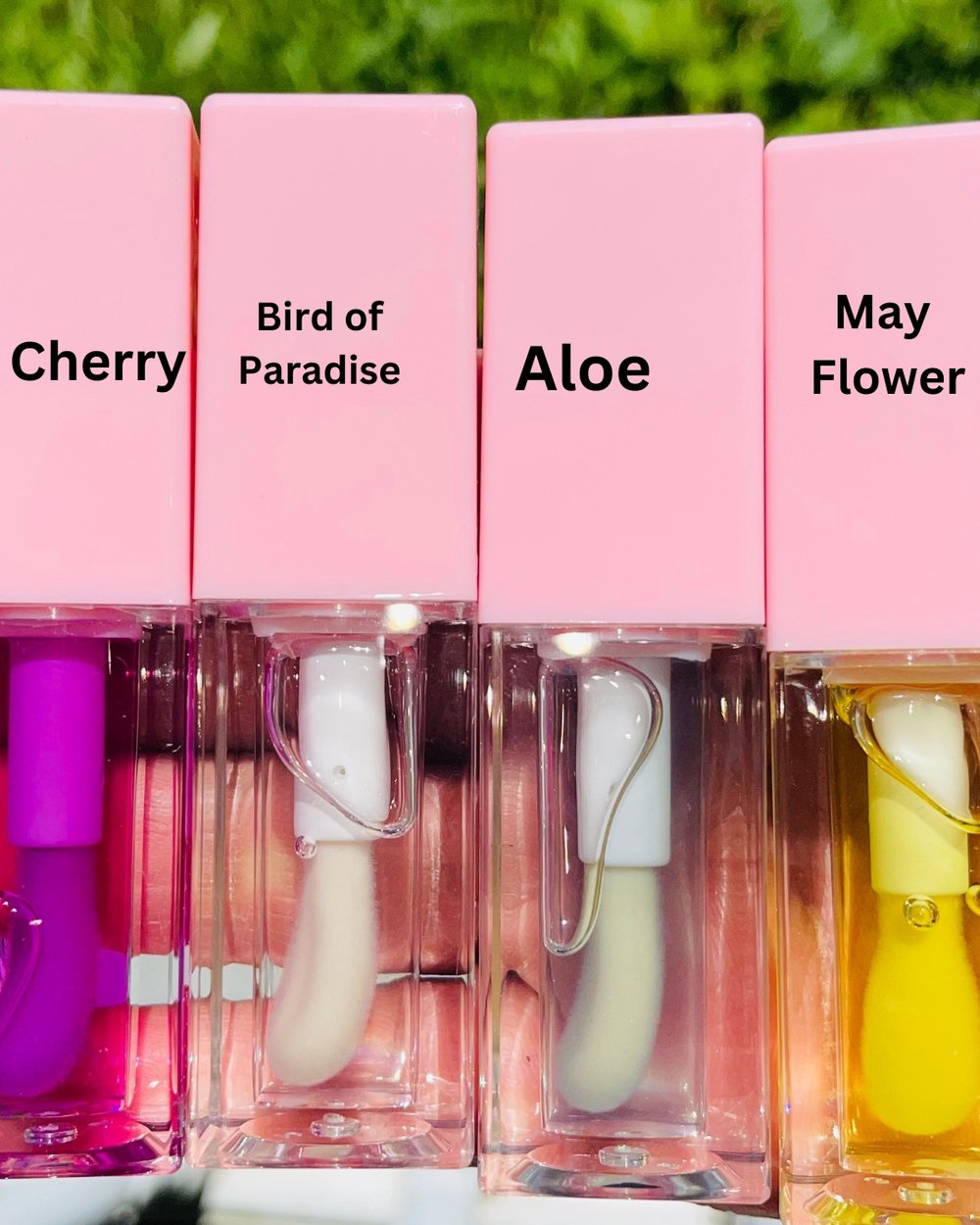 Image of Fruit Flavored Lip Oils 🍓