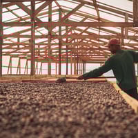 Image 4 of Selbstläufer - Espresso Blend