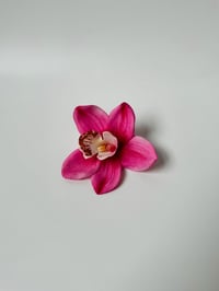 Image 1 of pink cymbidium orchid clip
