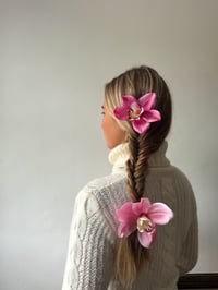 Image 3 of pink cymbidium orchid clip