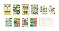 Image 4 of Cavallini & Co. Butterflies Stationery Set