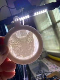 Image 2 of Custom hanging window lithophane, suncatcher/light catcher. Personalized etched artwork. 