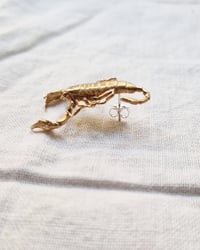 Image 5 of Orecchino Scorpione