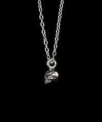 Image 3 of MINIMA CRANIA