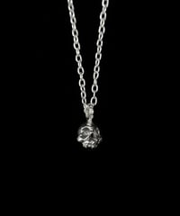 Image 2 of MINIMA CRANIA