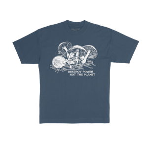 Destroy Power Not The Planet - Dolphin Blue