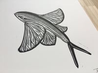 Image 2 of Flying Fish