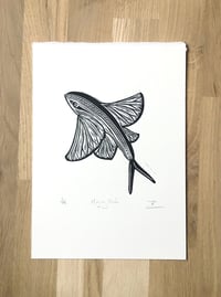 Image 1 of Flying Fish