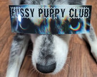 Image 1 of FUSSY PUPPY CLUB STICKER