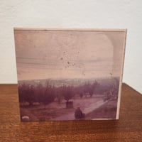 Image 3 of Moth Drakula - I Greet You At The Beginning Though I Can't Control Your Exit CD