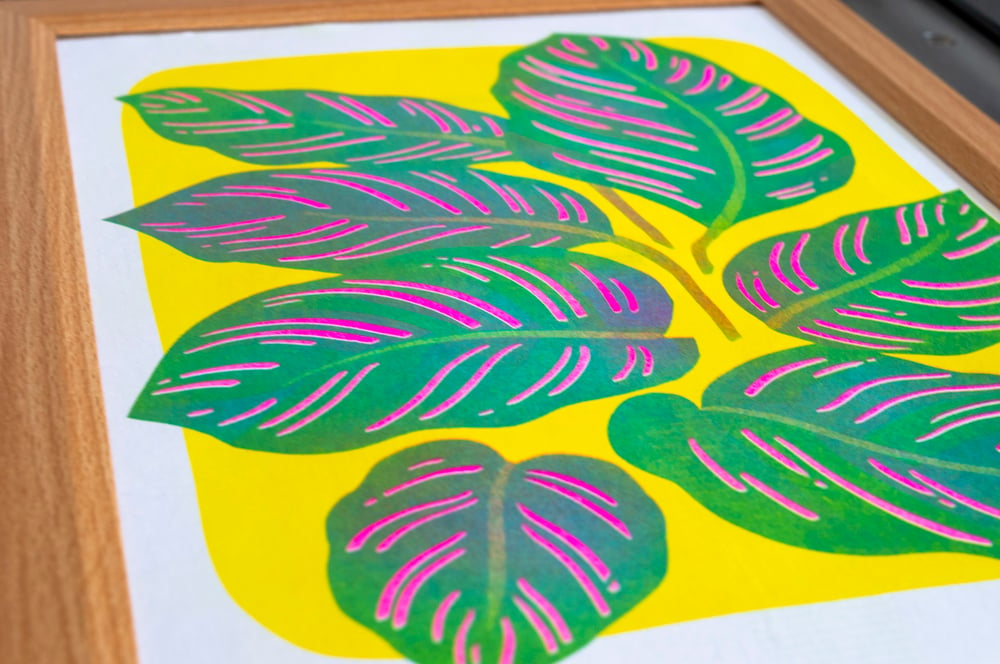 Image of Calathea Risograph Print