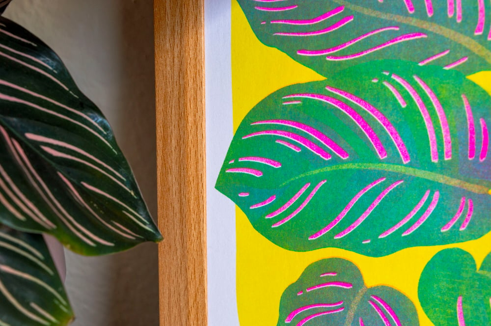 Image of Calathea Risograph Print