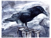 Image 1 of American Crow