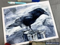 Image 2 of American Crow