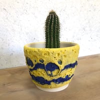 Blue and Yellow Foamy pot