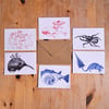 Pack of 5 Wild Seed Cards