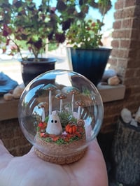 Image 1 of Ghost Terrarium 