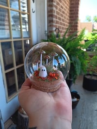 Image 2 of Ghost Terrarium 