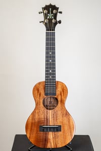 Image 1 of KoAloha KCM-00 Koa Ebony Gloss Concert