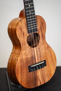 Image 3 of KoAloha KCM-00 Koa Ebony Gloss Concert